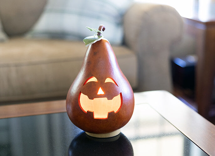 Rowan Jack-O-Lantern at Meadowbrooke Gourds
