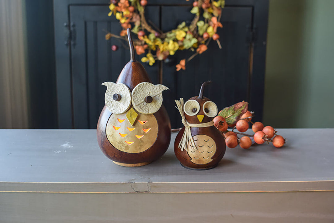 Professor Owl Family