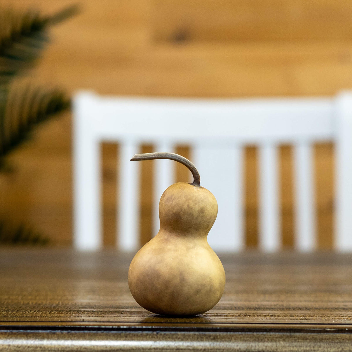 1.75 inch dried mini bottle gourd at Meadowbrooke Gourds. 