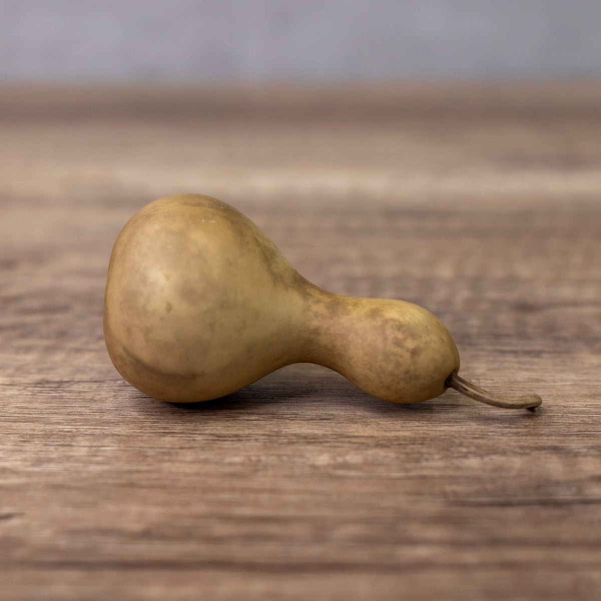 1.75 inch dried mini bottle gourd at Meadowbrooke Gourds. 