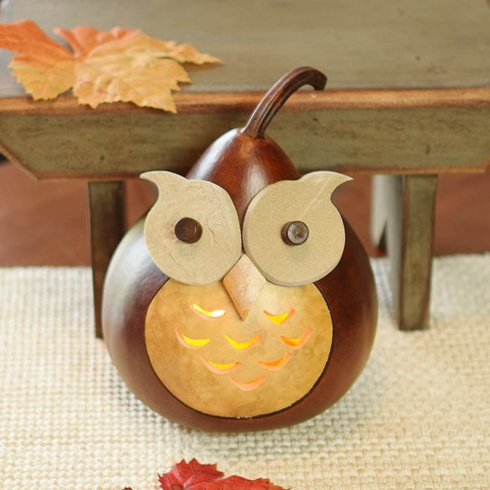 Professor Owl Gourd at Meadowbrooke Gourds. 