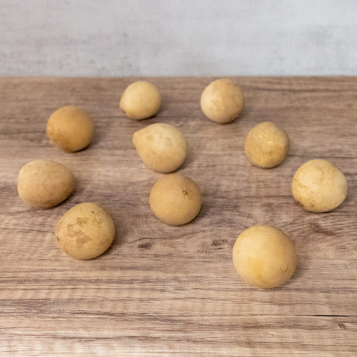 1 inch dried egg gourd balls in a 10 count at Meadowbrooke Gourds.