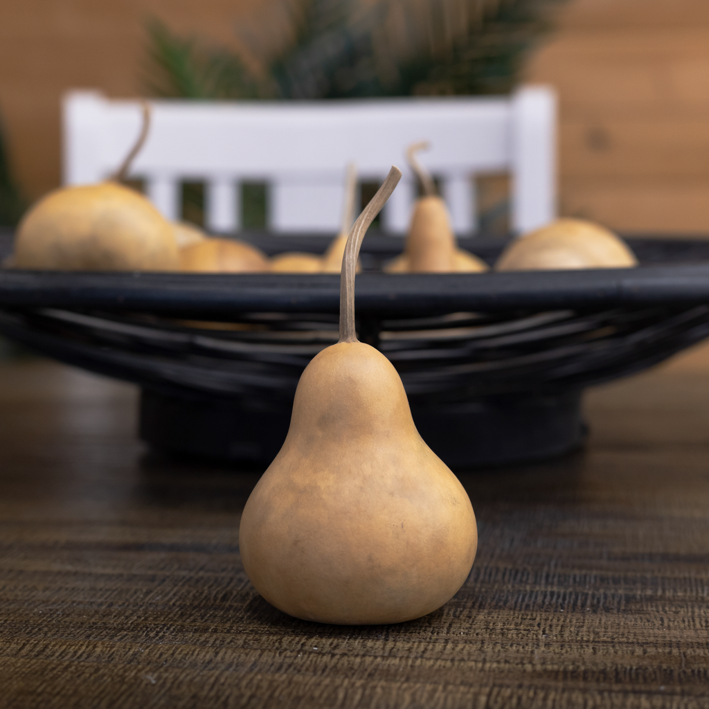Dried Martin Gourd - 2" in Diameter