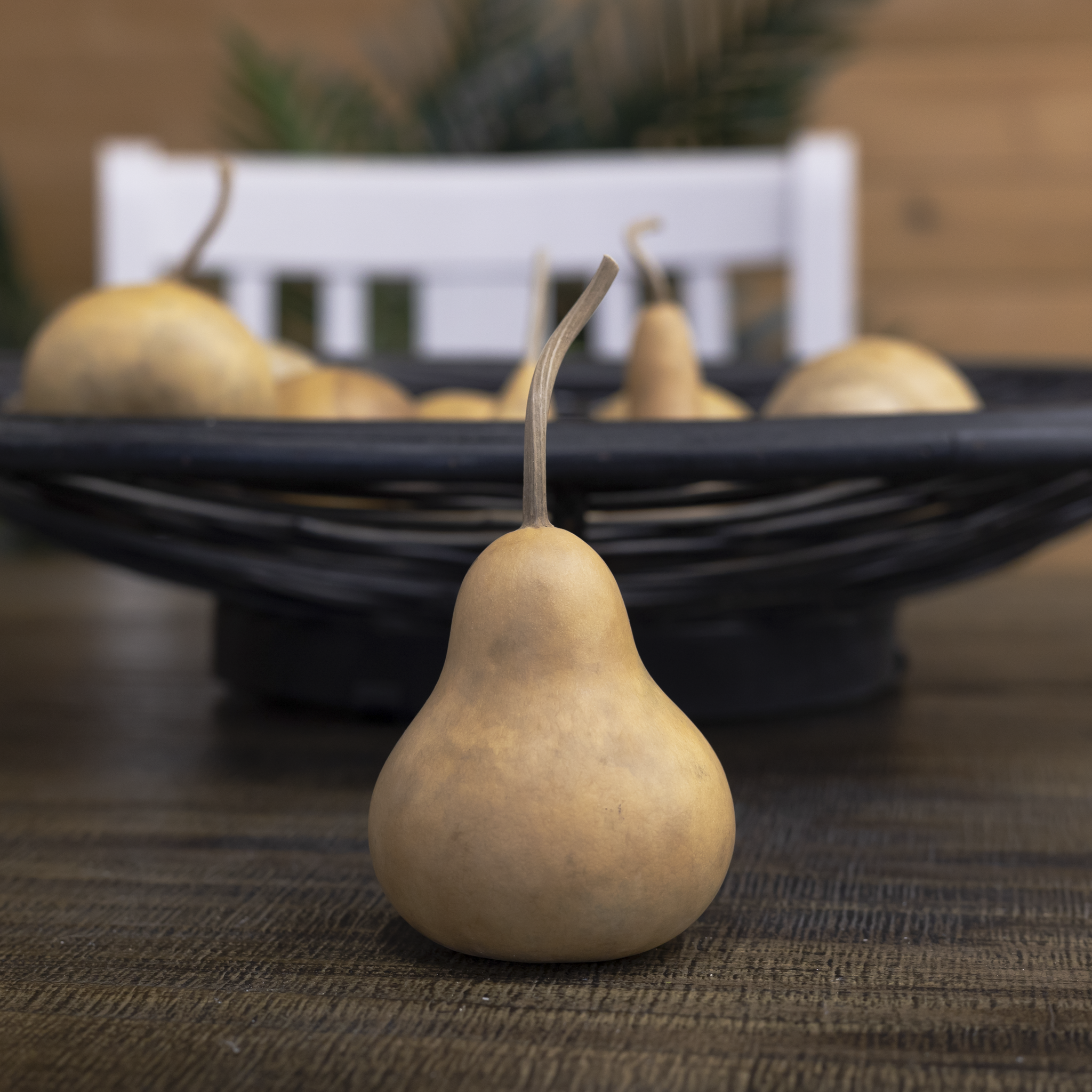 Dried Martin Gourd - 2" in Diameter