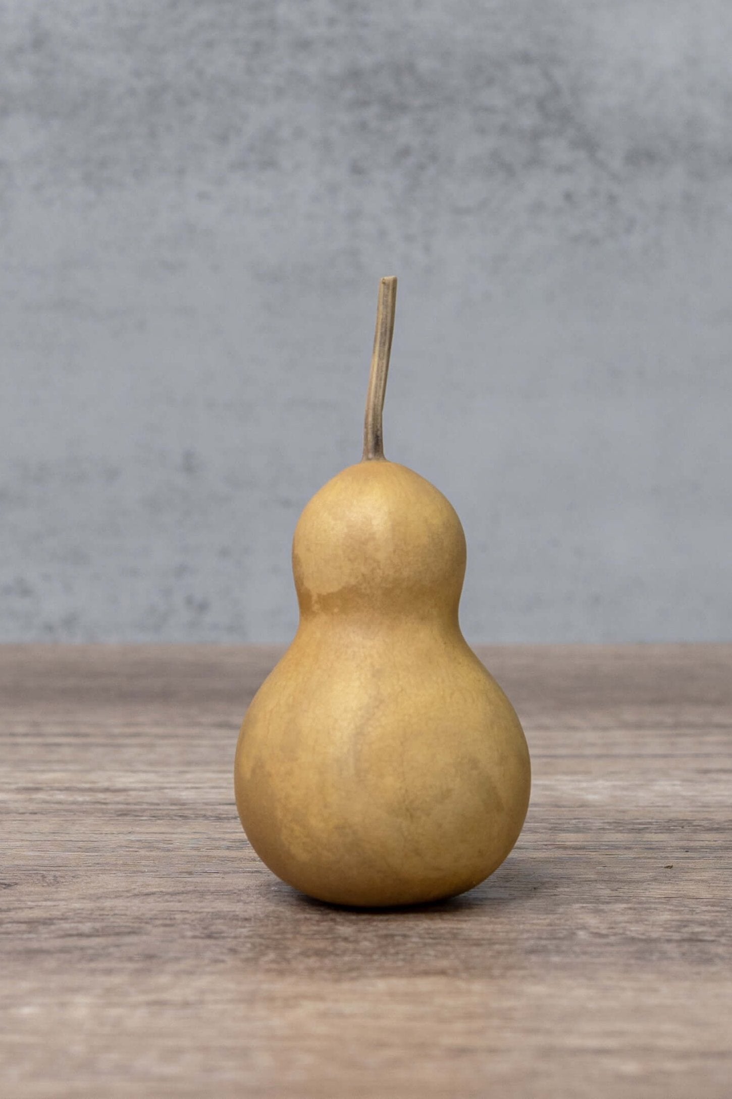 2" bottle gourd at Meadowbrooke Gourds