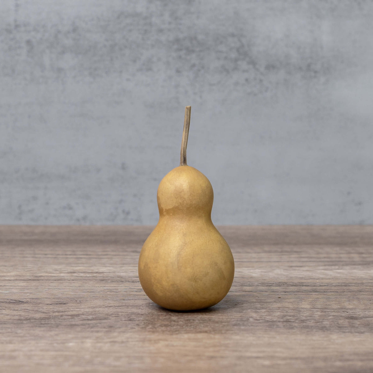 Dried Bottle Gourd - 2" in Diameter