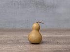 2" bottle gourd at Meadowbrooke Gourds