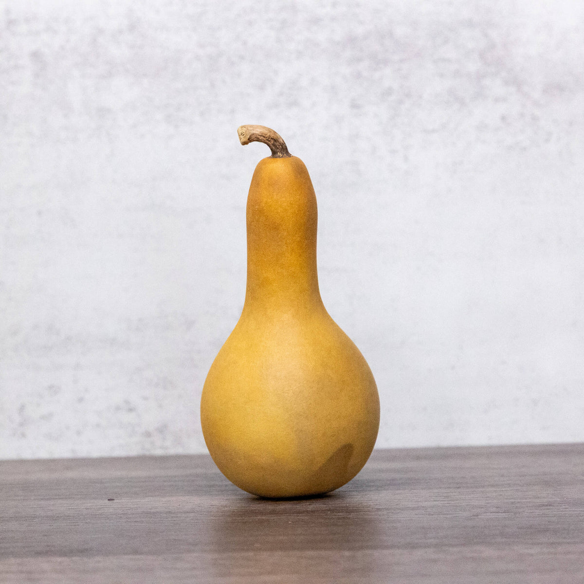 2 inch dried dipper gourd at Meadowbrooke Gourds.
