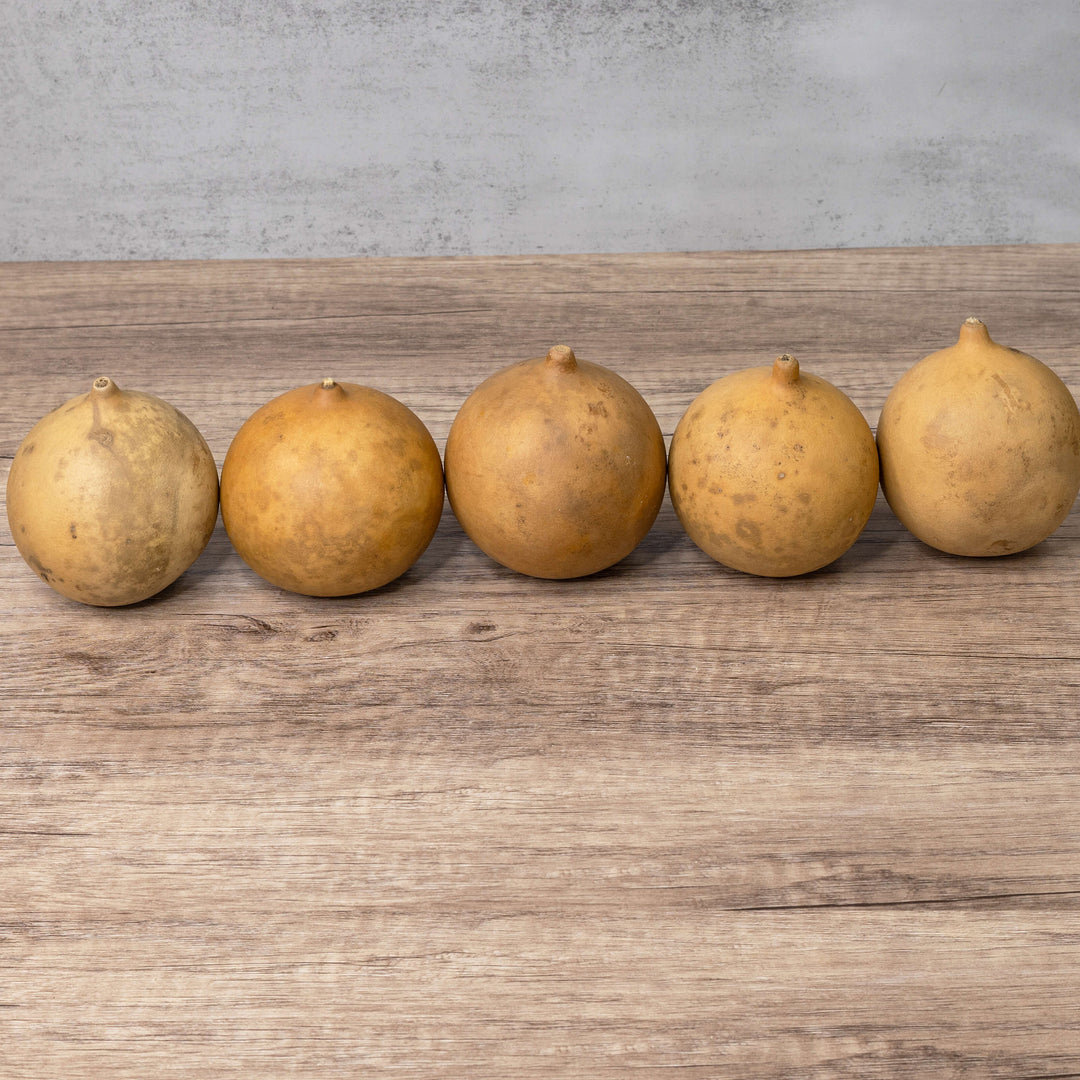 3" Cannonball Gourds at Meadowbrooke Gourds. 