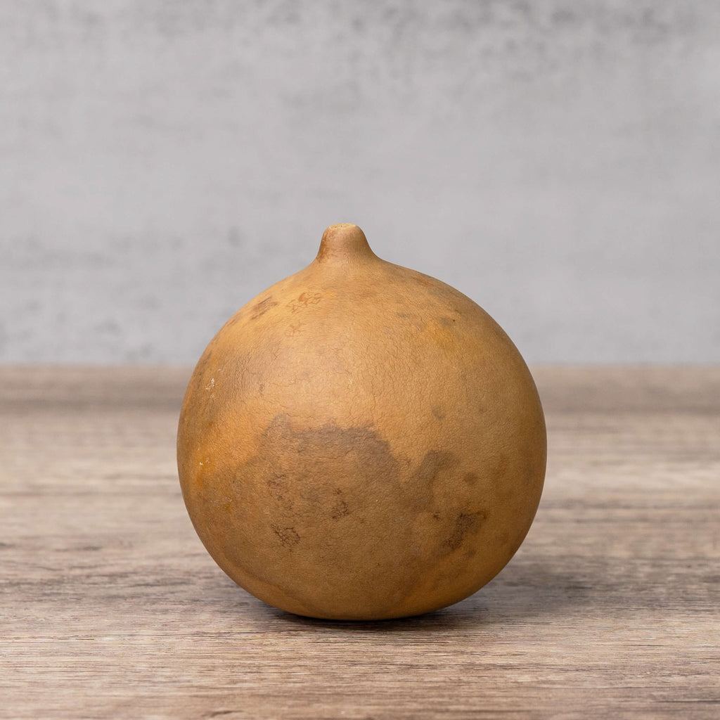 3" Cannonball Gourds at Meadowbrooke Gourds. 
