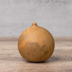 3" Cannonball Gourds at Meadowbrooke Gourds. 