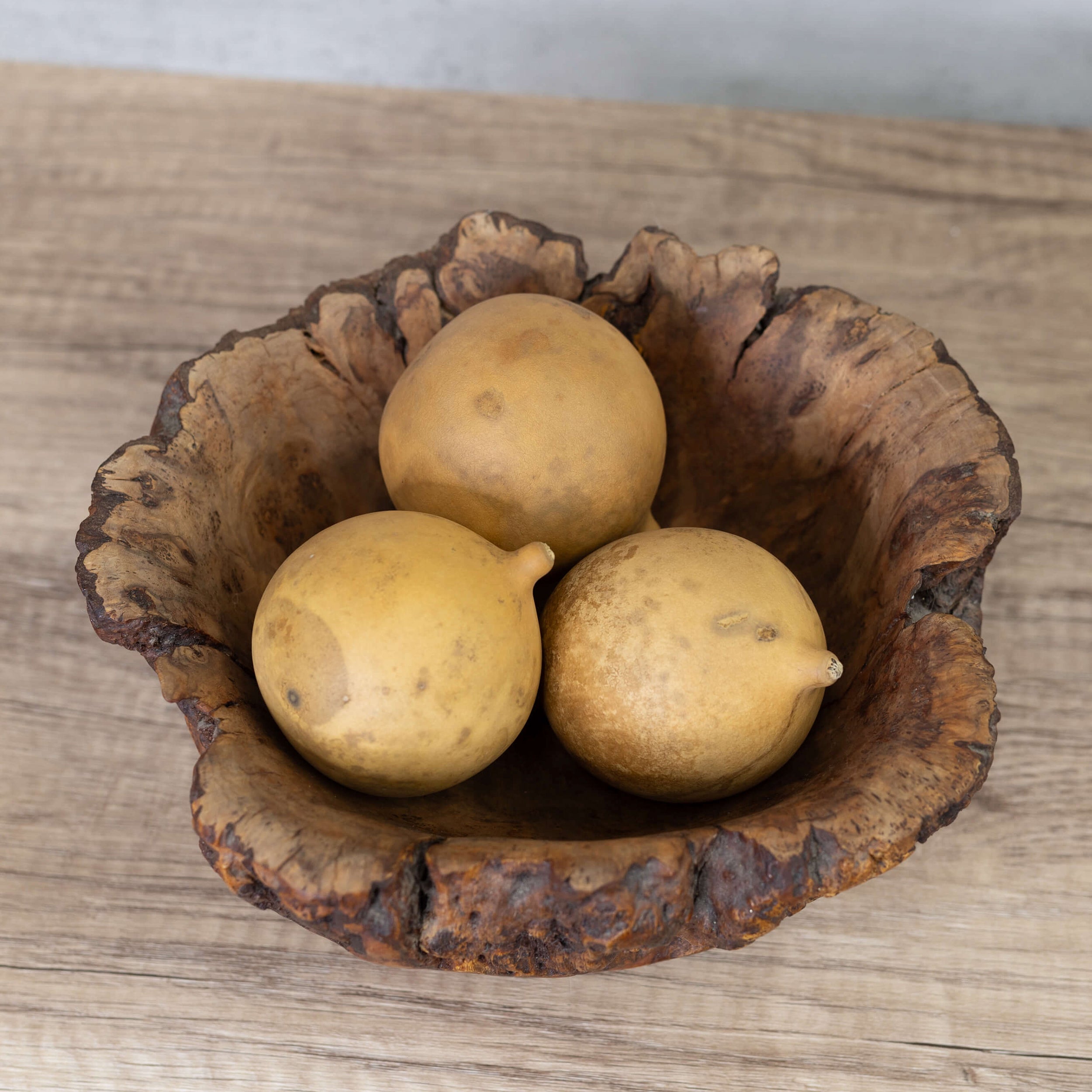 3" Cannonball Gourds at Meadowbrooke Gourds. 