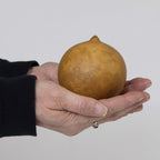 3" Cannonball Gourds at Meadowbrooke Gourds. 