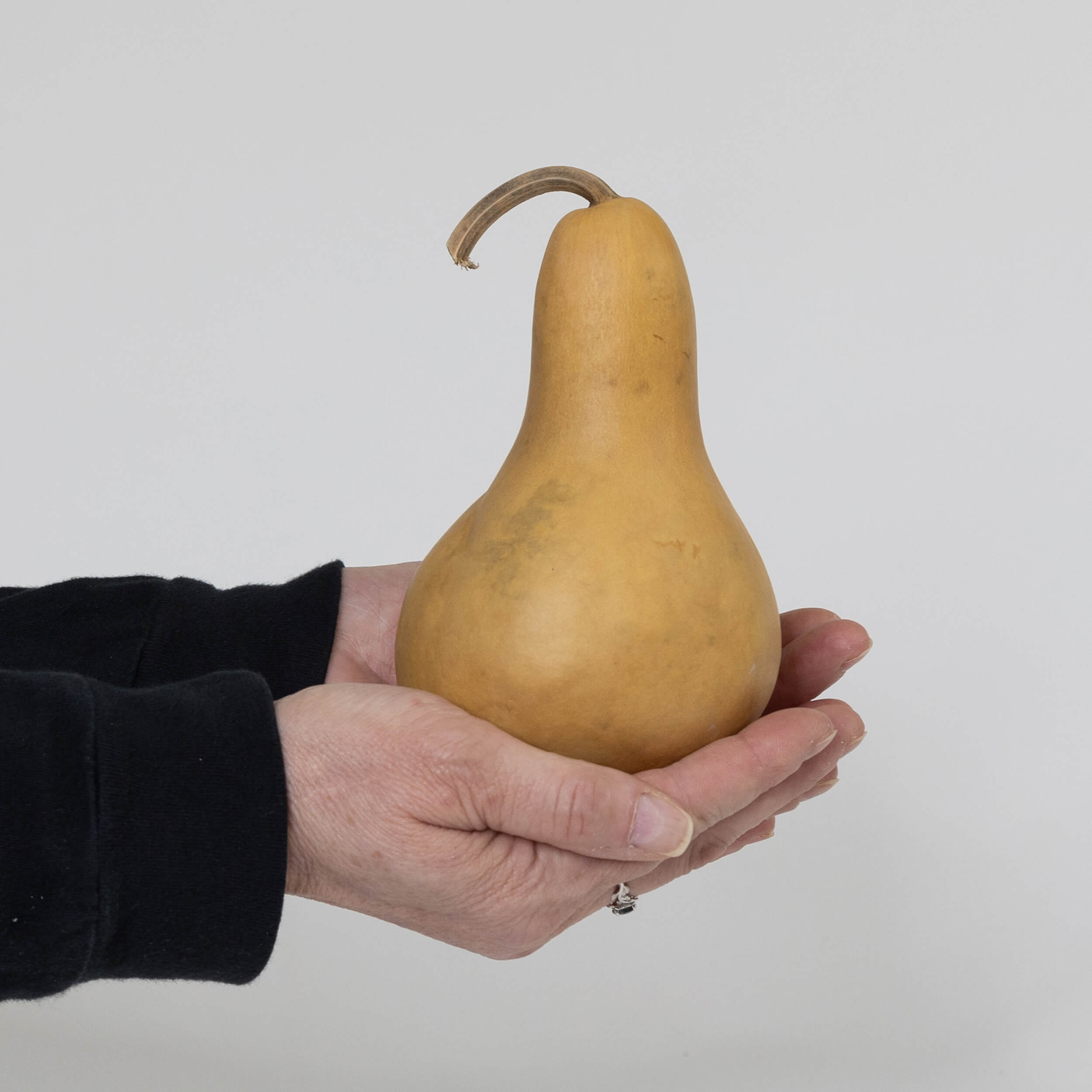 3" Hard Shell Martin Gourds at Meadowbrooke Gourds.