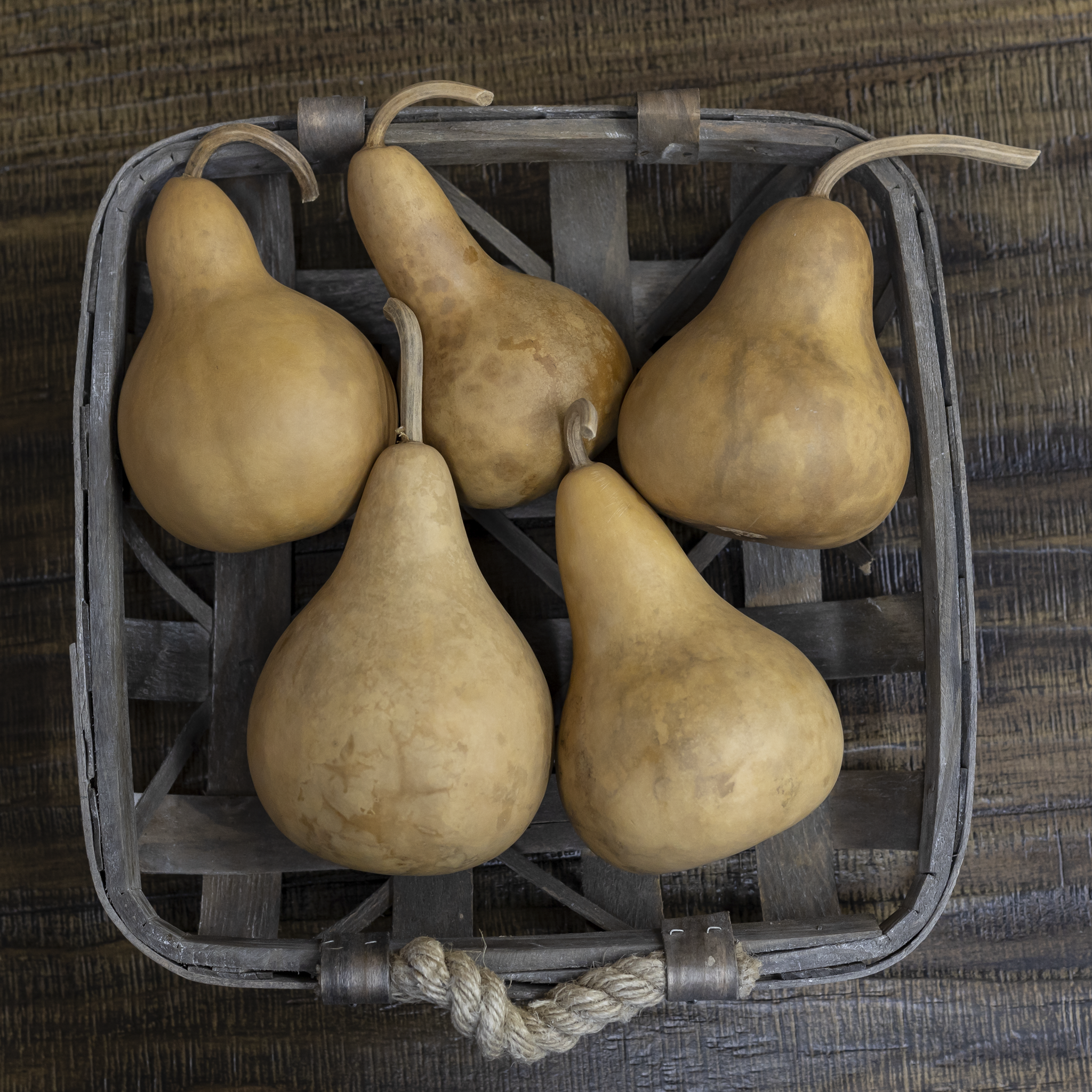 Dried Martin Gourd - 3" in Diameter