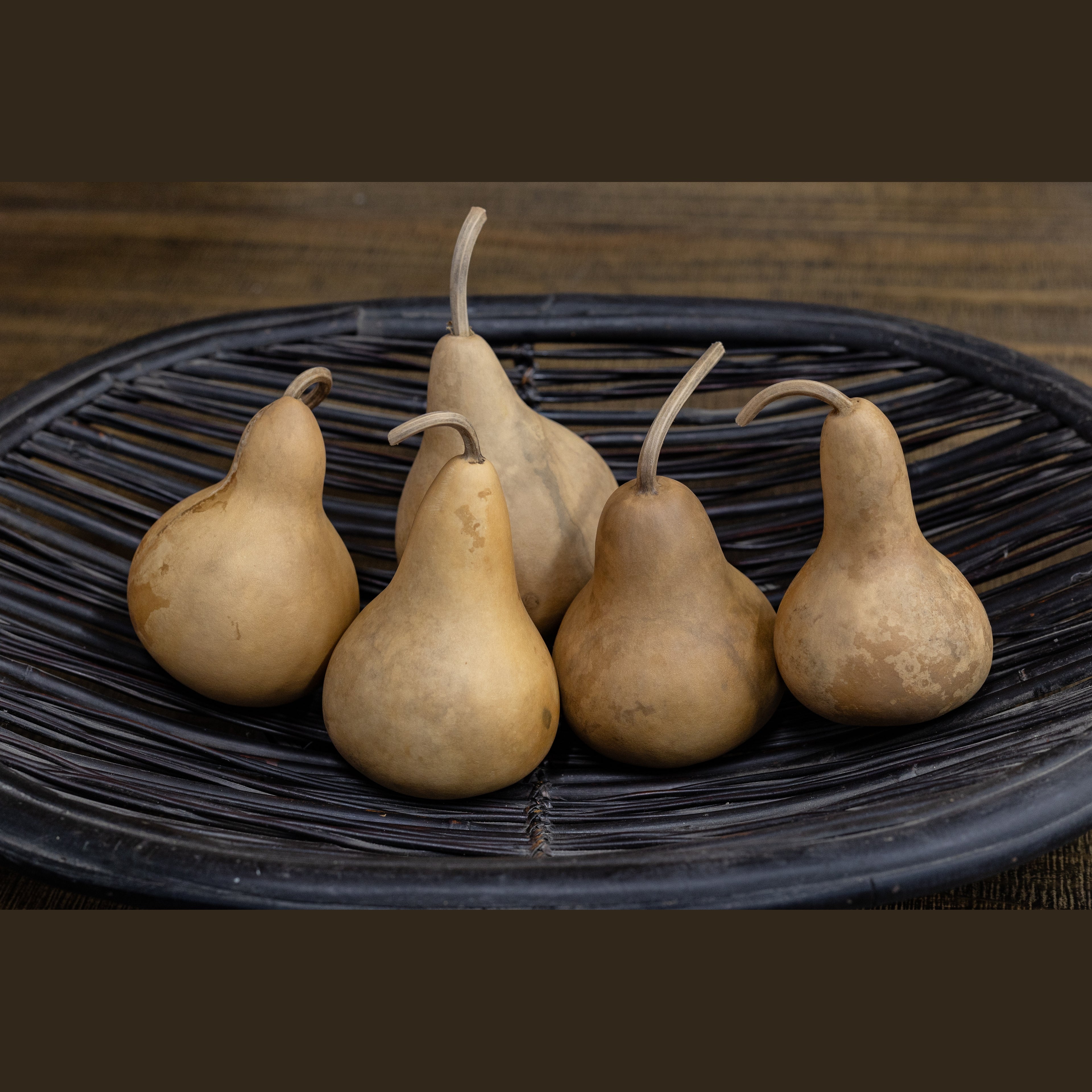 Dried Martin Gourd - 3" in Diameter