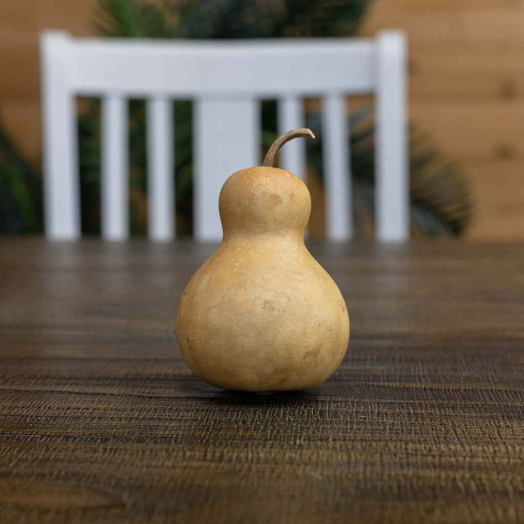3" Hard Shell Bottle Gourds at Meadowbrooke Gourds. 
