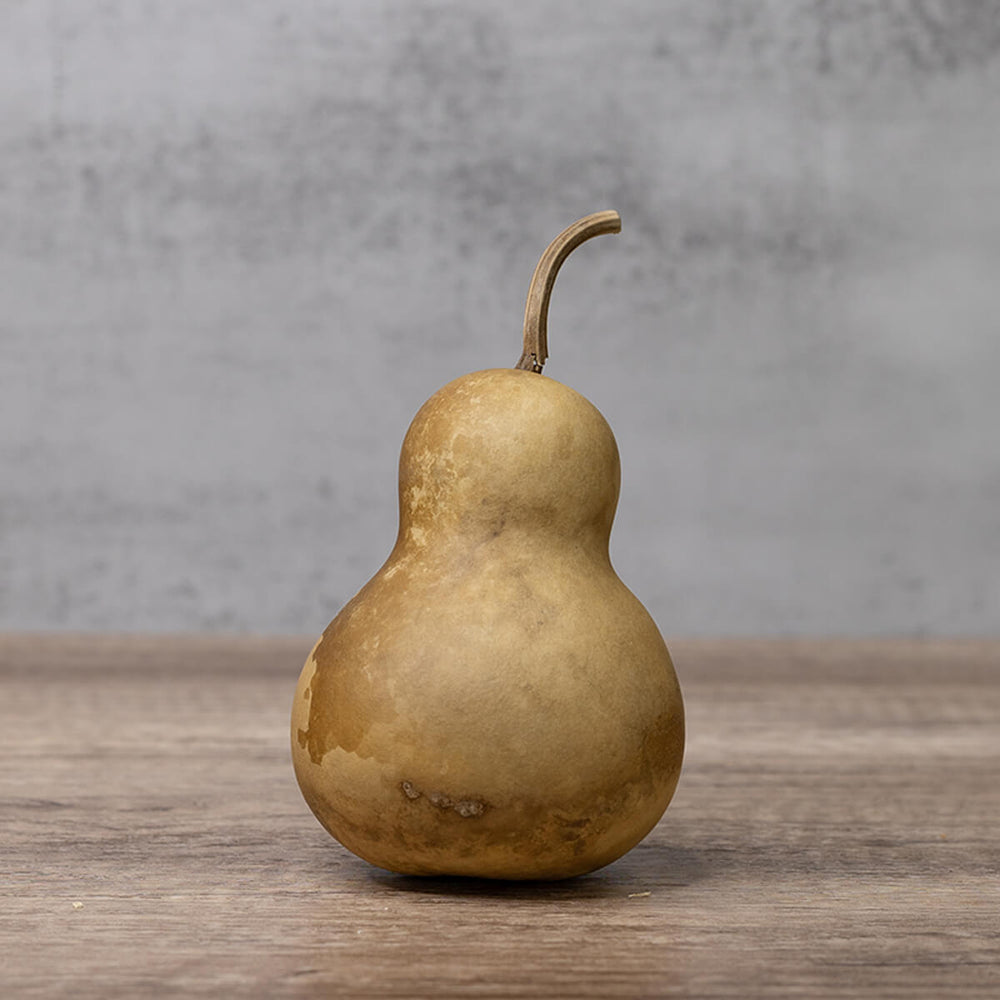 3 inch dried, hard shell bottle gourd at Meadowbrooke Gourds. 