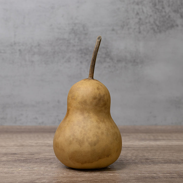 3 inch dried, hard shell bottle gourd at Meadowbrooke Gourds. 