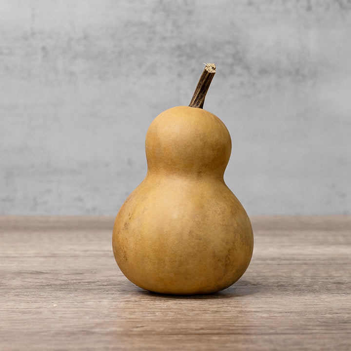 3 inch dried, hard shell bottle gourd at Meadowbrooke Gourds. 