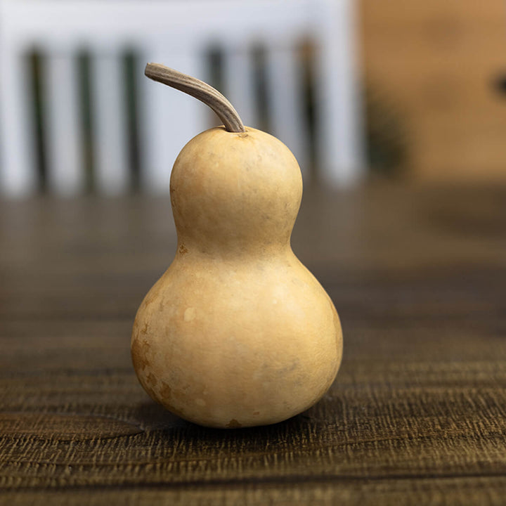 3 inch dried, hard shell bottle gourd at Meadowbrooke Gourds. 