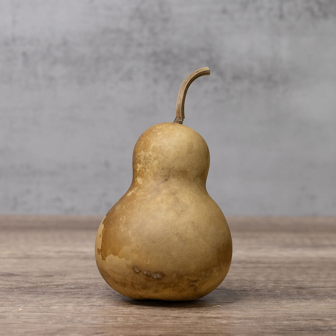3 inch dried, hard shell bottle gourd at Meadowbrooke Gourds. 