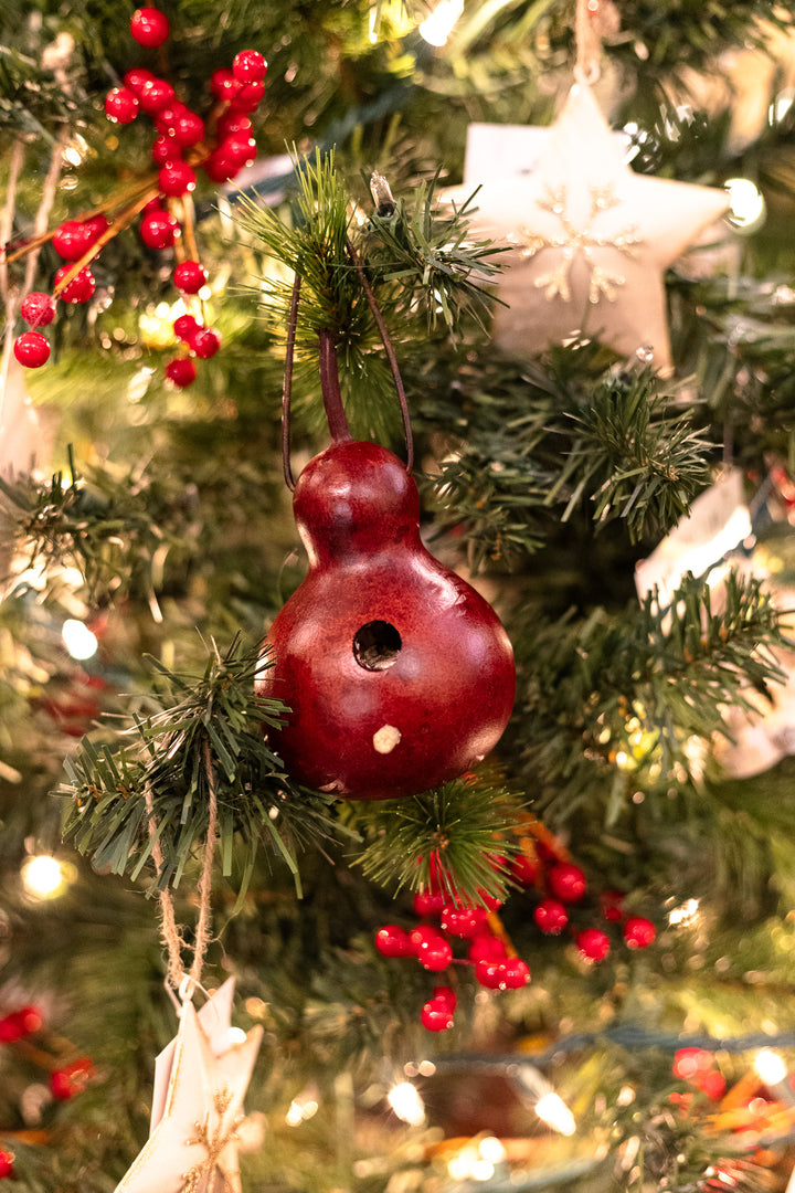 Miniature Indoor Bird Cottage Gourd on Christmas Tree as ornament