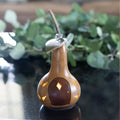 Garden Shed Gourd at Meadowbrooke Gourds. 