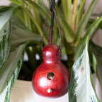 Miniature Decorative Birdhouse Gourd by Meadowbrooke Gourds