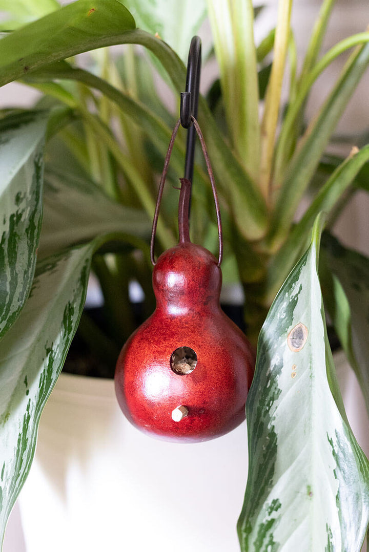 Miniature Decorative Birdhouse Gourd by Meadowbrooke Gourds