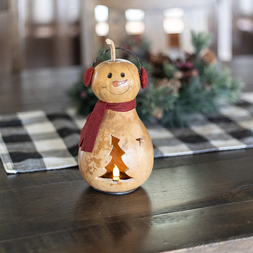 Winter Snow Lady Gourd at Meadowbrooke Gourds. 