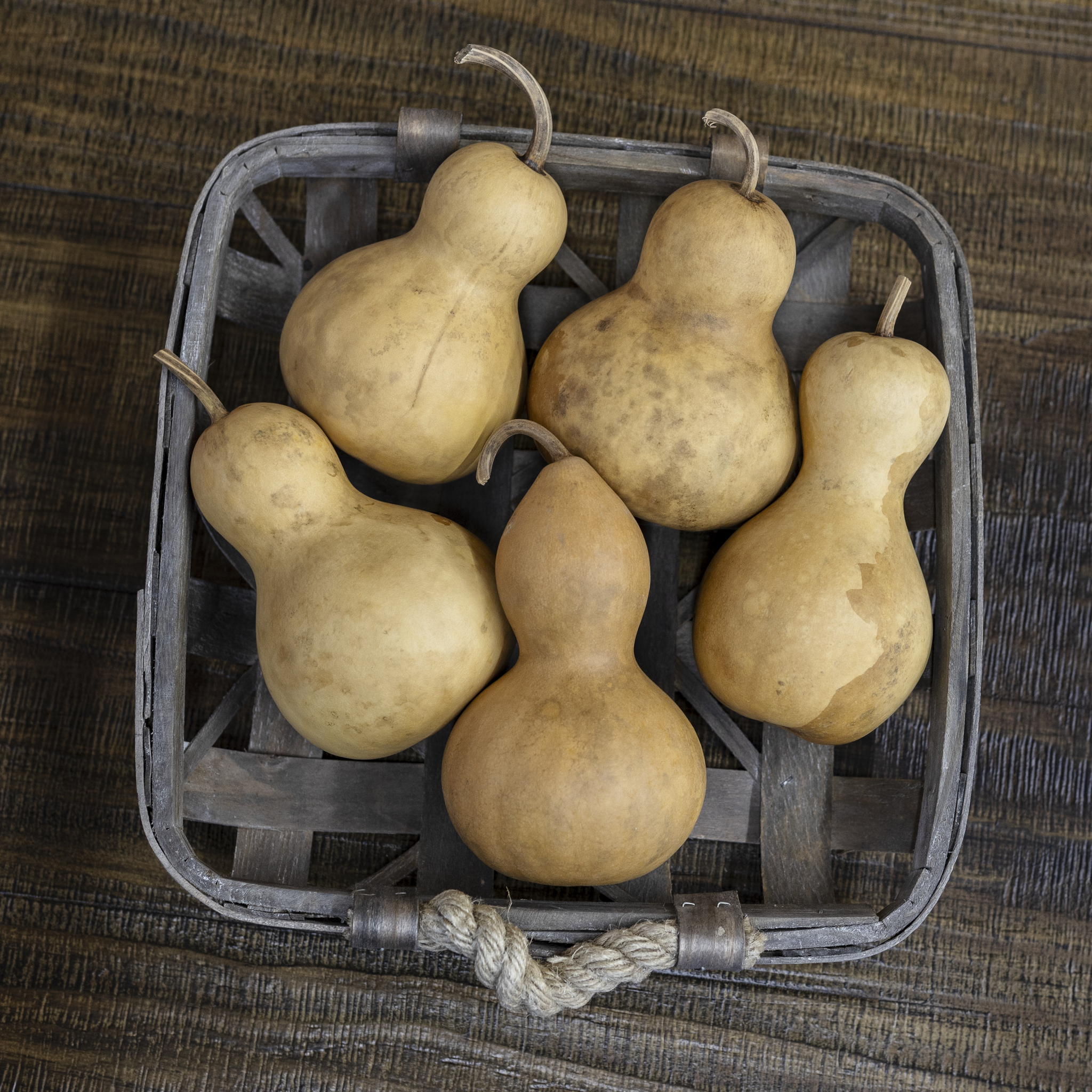 Dried Bottle Gourd - 3" in Diameter