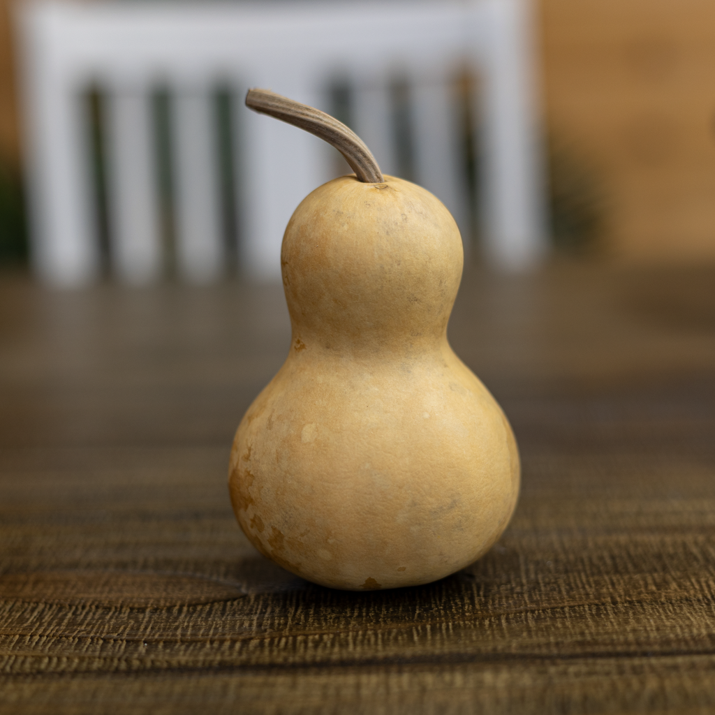 Dried Bottle Gourd - 3" in Diameter