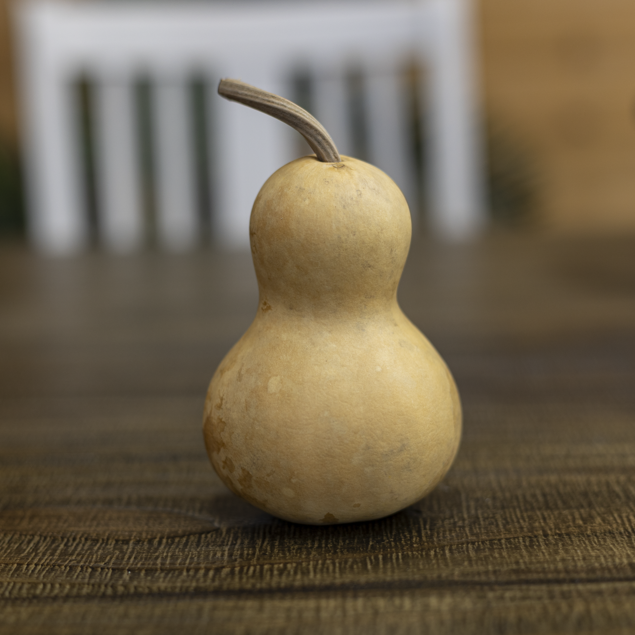 Dried Bottle Gourd - 3" in Diameter