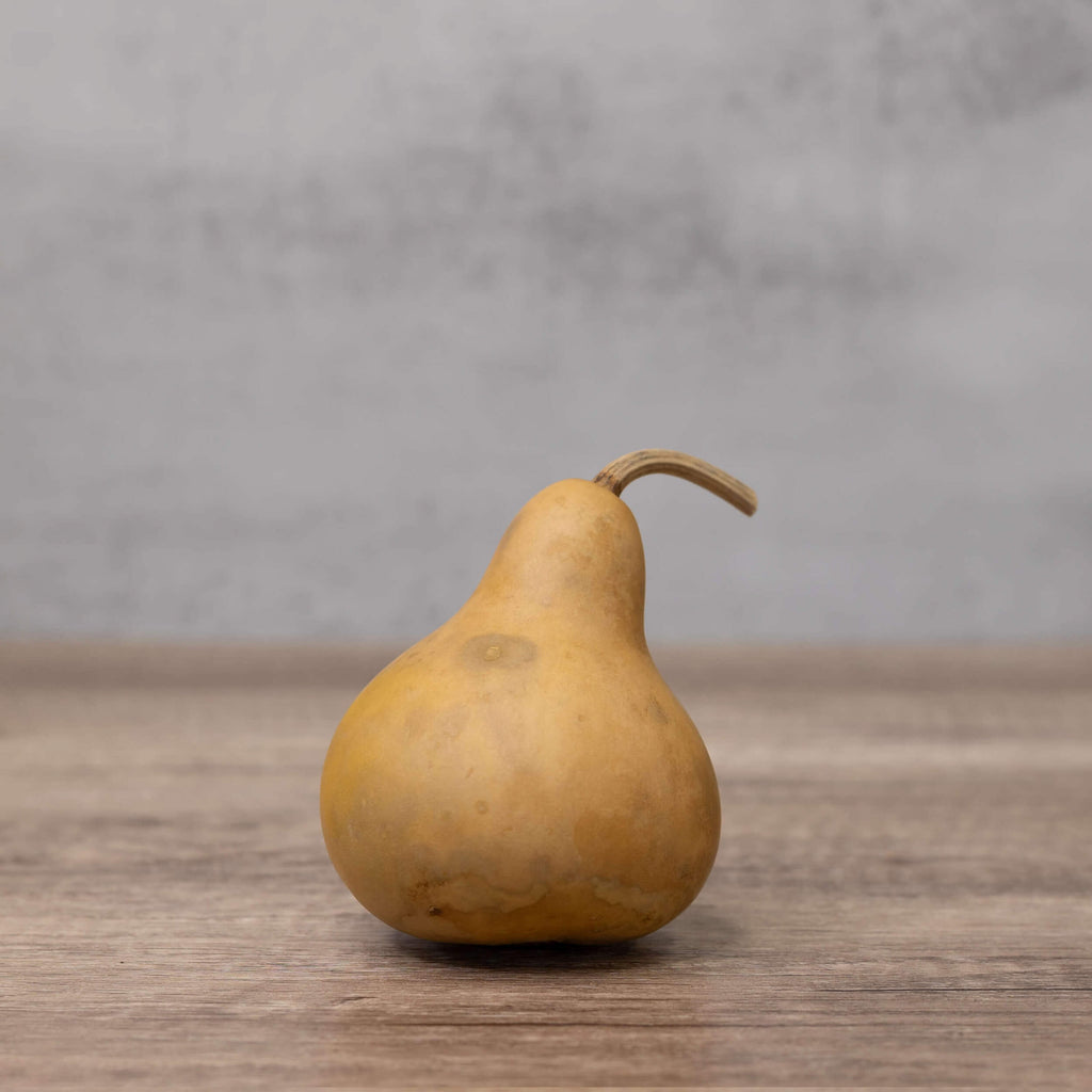 3" Hard Shell Martin Gourds at Meadowbrooke Gourds.