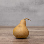 3" Hard Shell Martin Gourds at Meadowbrooke Gourds.