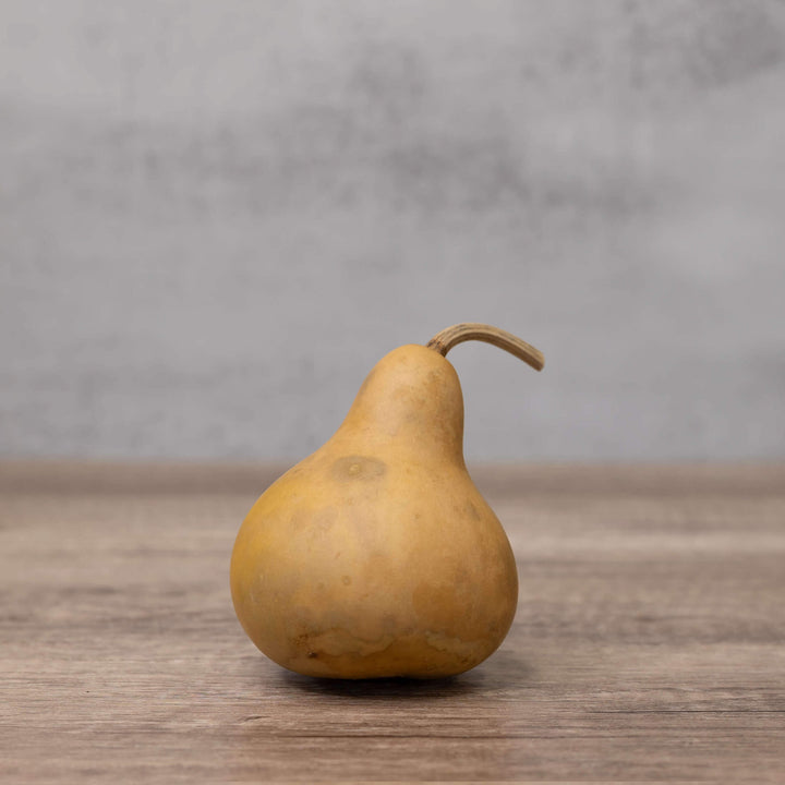 3" Hard Shell Martin Gourds at Meadowbrooke Gourds.