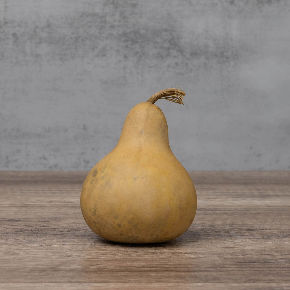 3" Hard Shell Martin Gourds at Meadowbrooke Gourds.