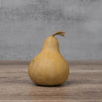 3" Hard Shell Martin Gourds at Meadowbrooke Gourds.