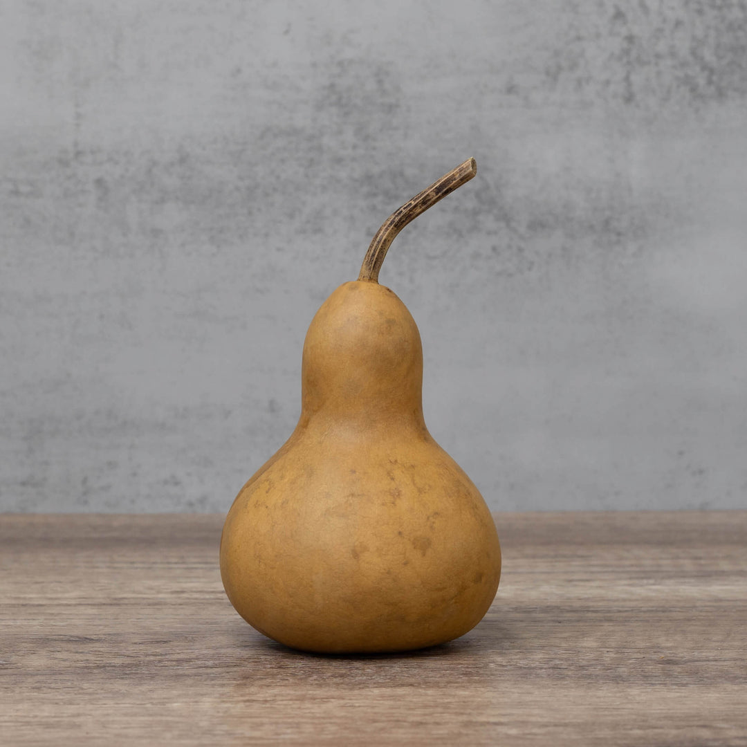 3" Hard Shell Martin Gourds at Meadowbrooke Gourds.