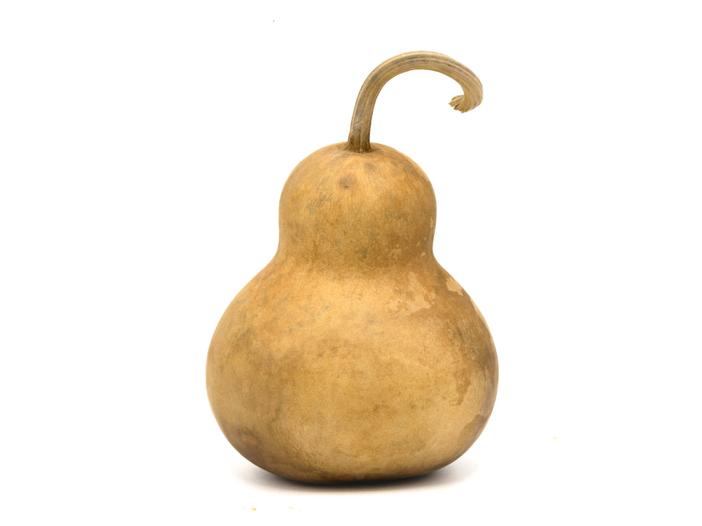 4" Hard Shell Bottle Gourds at Meadowbrooke Gourds.