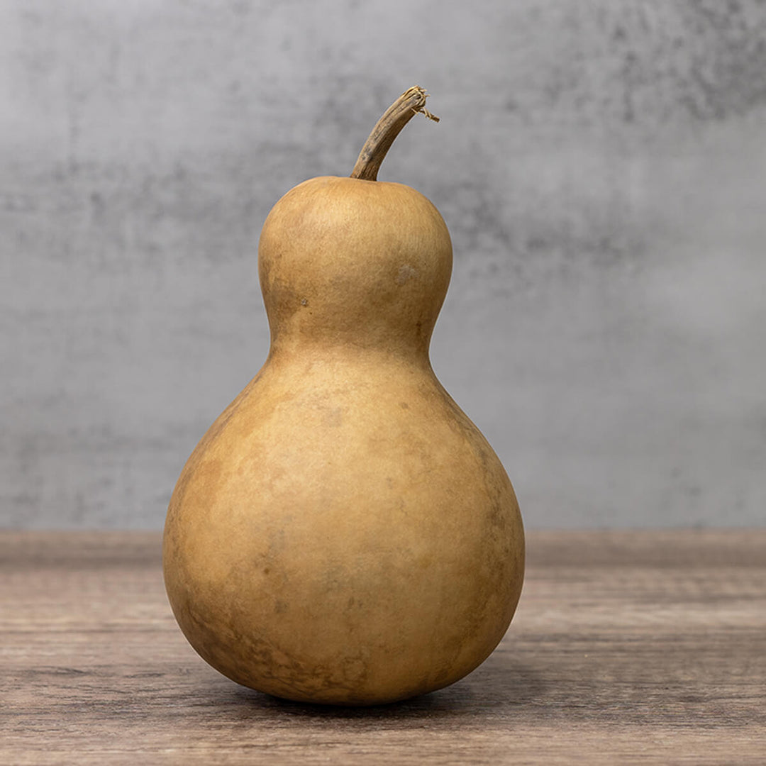 4 Inch Hard Shell Bottle Gourd at Meadowbrooke Gourds. 