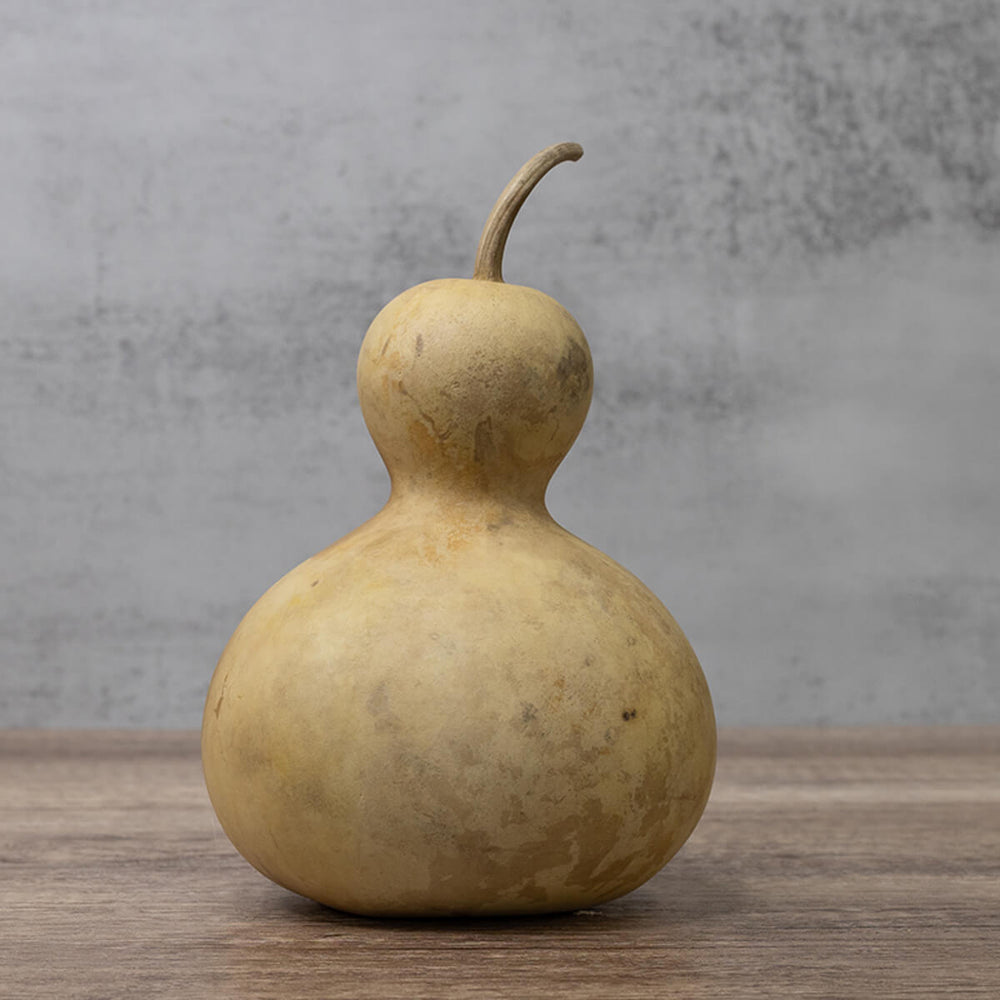 4 Inch Hard Shell Bottle Gourd at Meadowbrooke Gourds. 