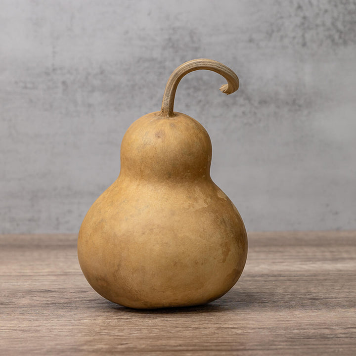 4 Inch Hard Shell Bottle Gourd at Meadowbrooke Gourds. 