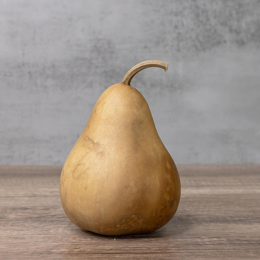 4 Inch Hard Shell Martin Gourd at Meadowbrooke Gourds. 