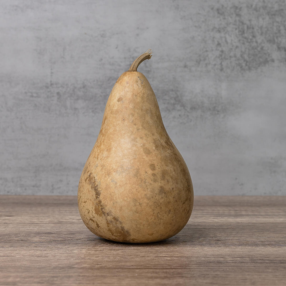 4 Inch Hard Shell Martin Gourd at Meadowbrooke Gourds. 