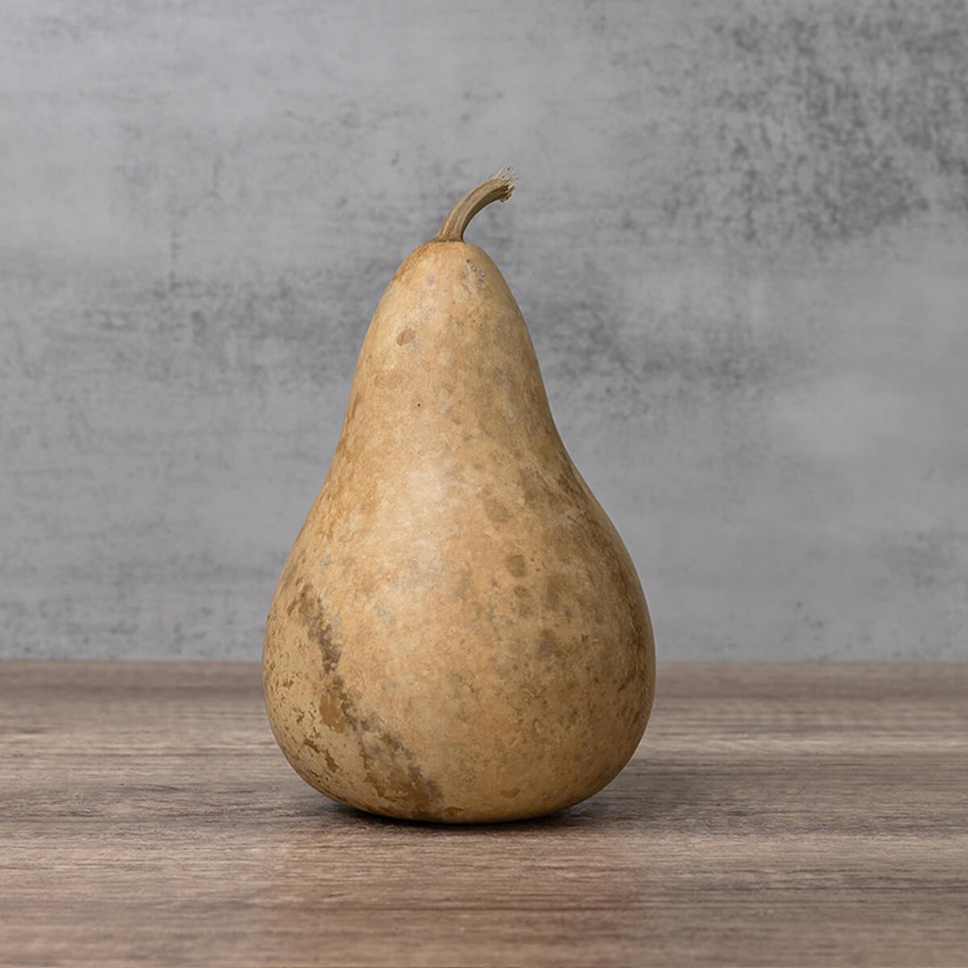 4 Inch Hard Shell Martin Gourd at Meadowbrooke Gourds. 