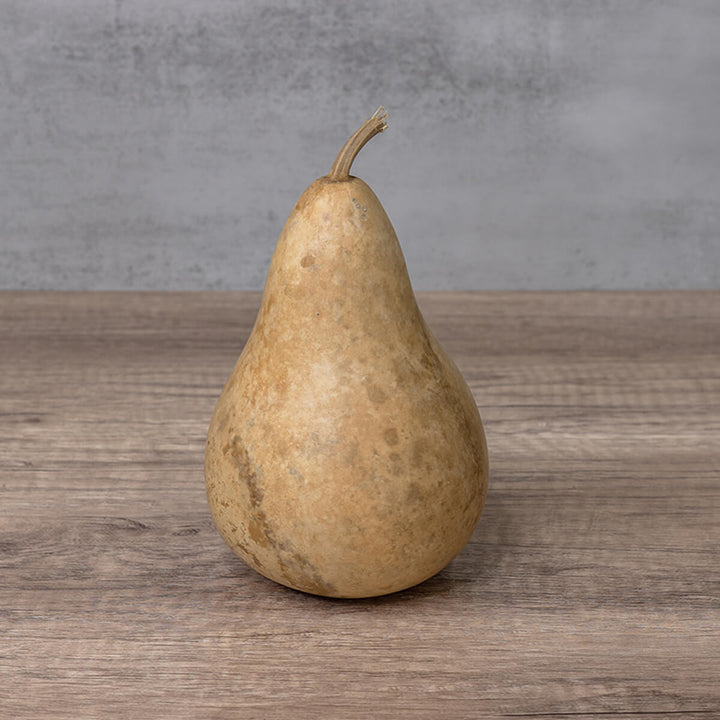 4 Inch Hard Shell Martin Gourd at Meadowbrooke Gourds. 