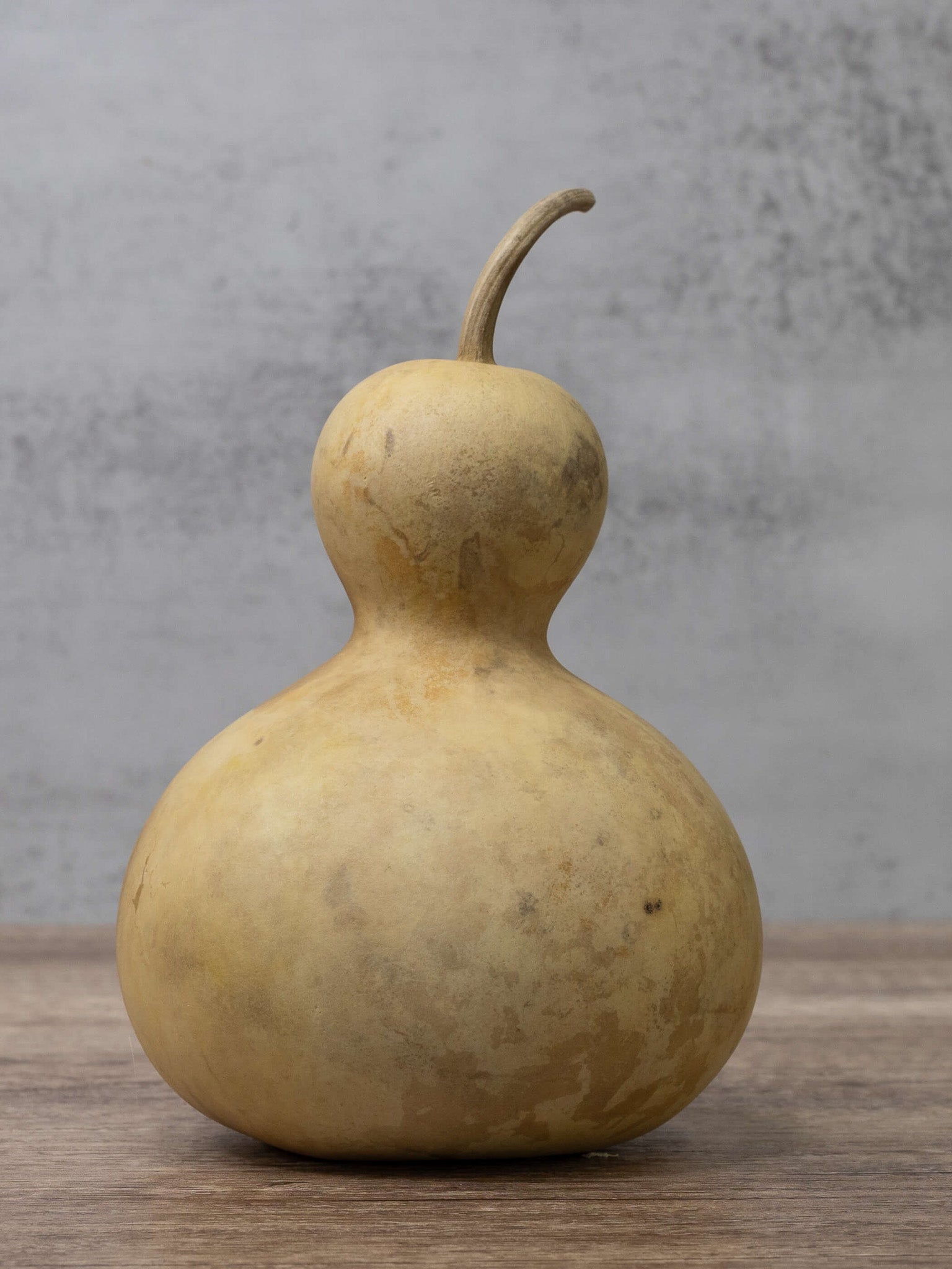 Four Inch Bottle Gourd at Meadowbrooke Gourds. 