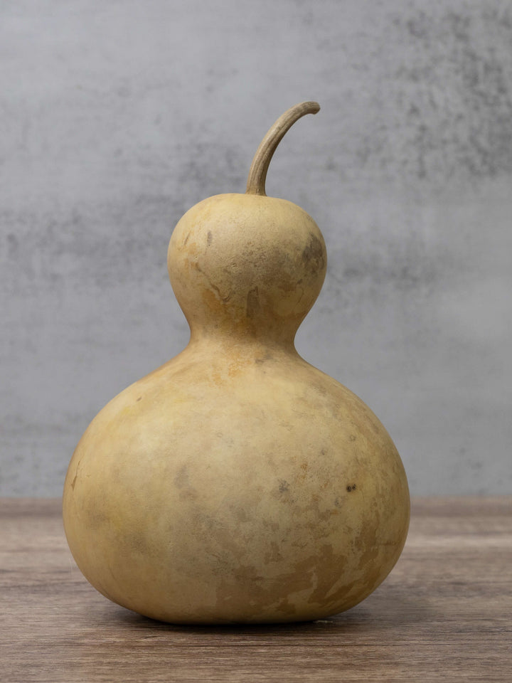 Four Inch Bottle Gourd at Meadowbrooke Gourds. 